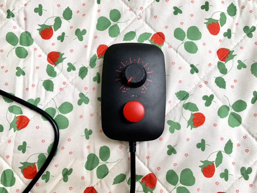 Lovense Mini Sex Machine Review Tried Tested