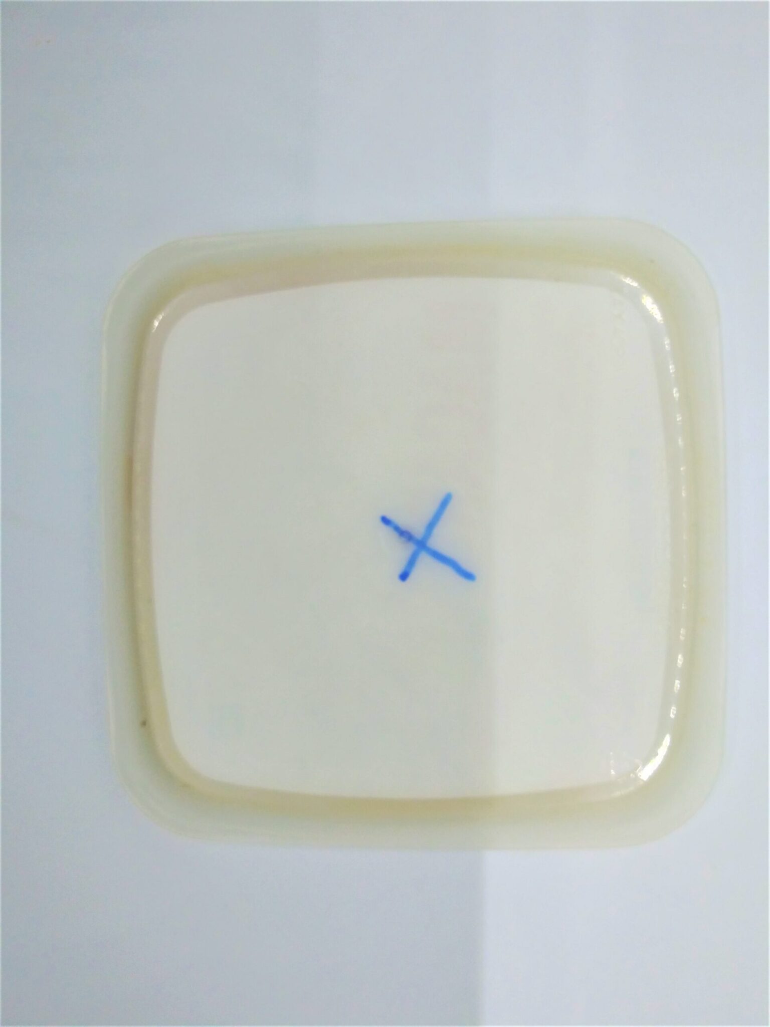 Homemade anal sex toys, photo of a plastic lid with an X drawn in the center.