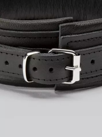 DOMINIX Deluxe Leather Collar. Slide 2