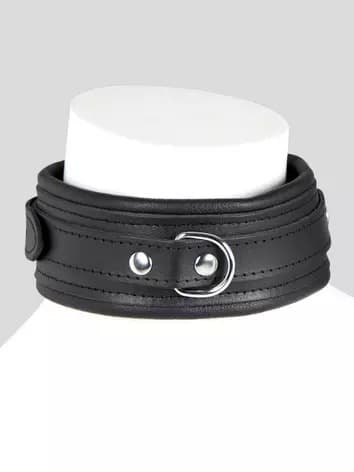DOMINIX Deluxe Leather Collar Review