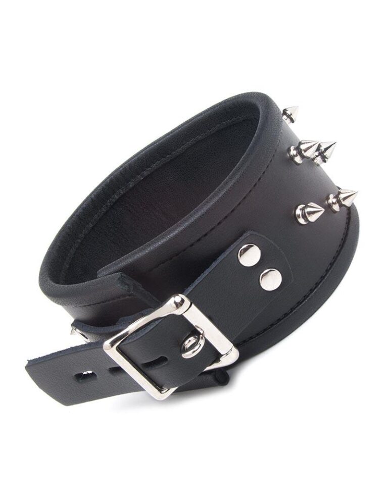 Alpha Dog Collar with Spikes Review