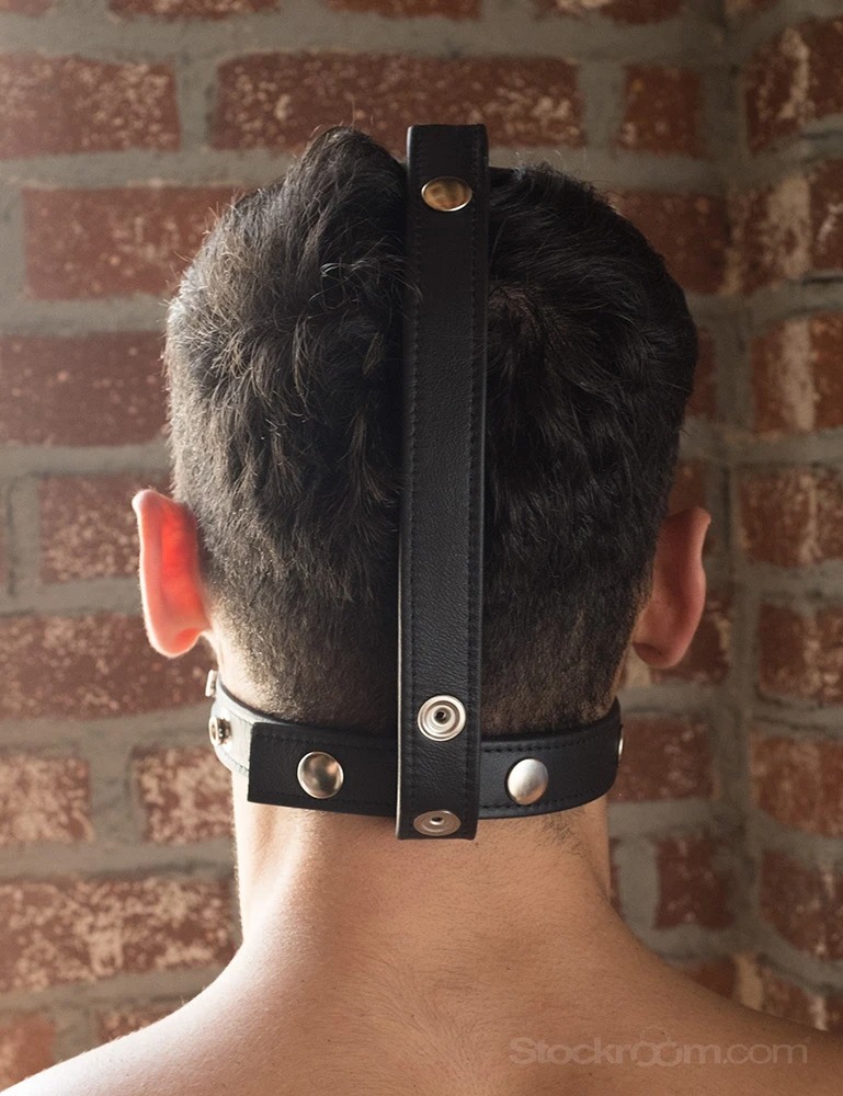 Stockroom Head-On-Harness Review