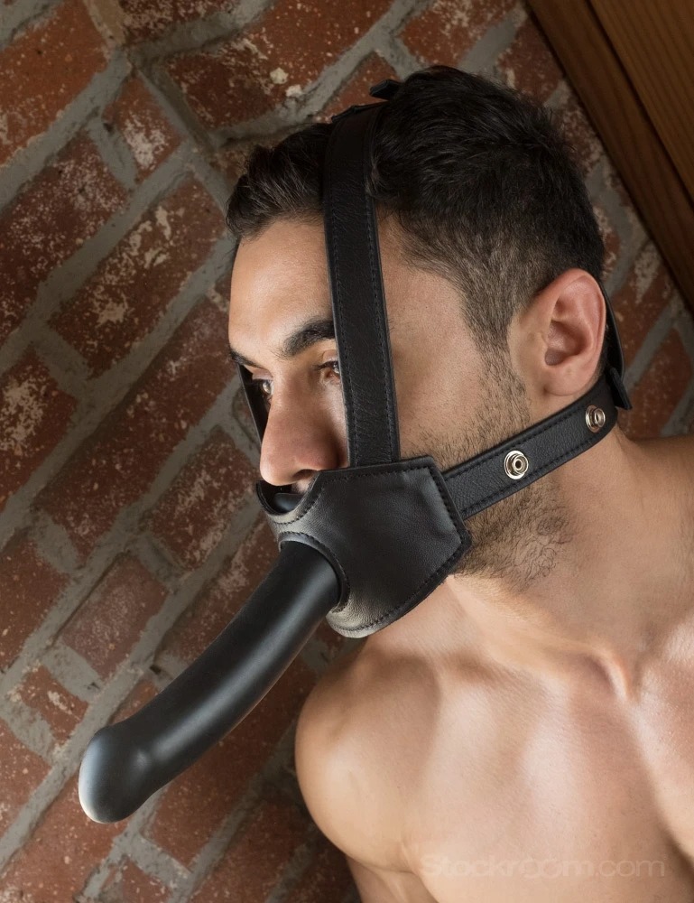 Stockroom Head-On-Harness Review