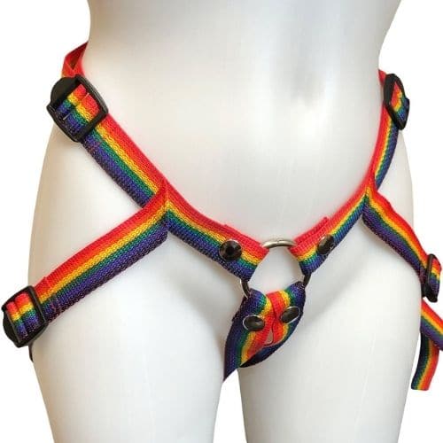 Inclusion Rainbow Strap-On Harness