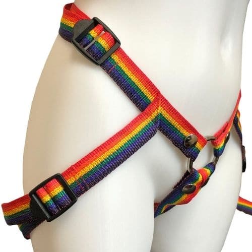Inclusion Rainbow Strap-On Harness. Slide 3