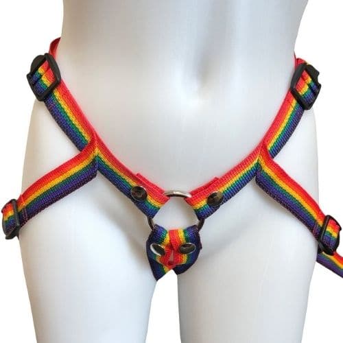 Inclusion Rainbow Strap-On Harness