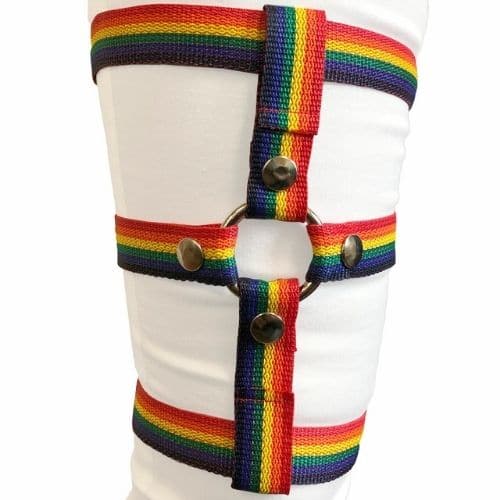 Inclusion Rainbow Thigh Harness