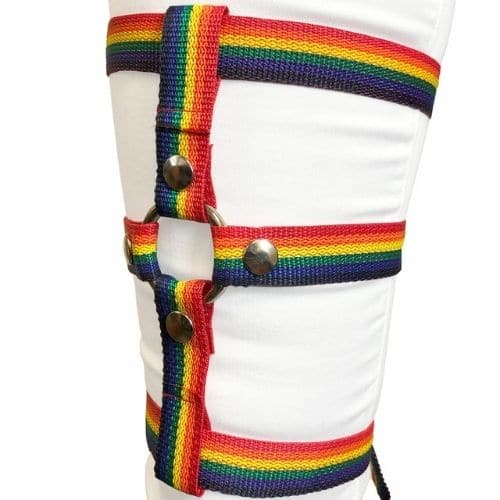 Inclusion Rainbow Thigh Strap-On Harness. Slide 3