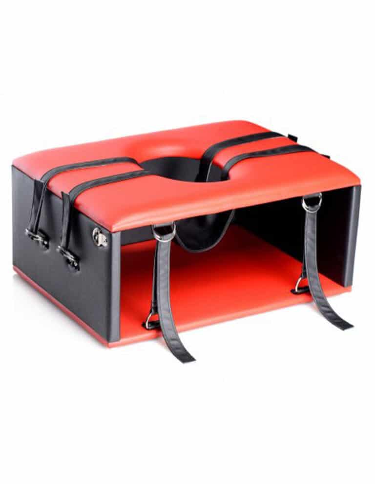Master Series Queening Chair - Tickling Chairs to Torture Your Sub