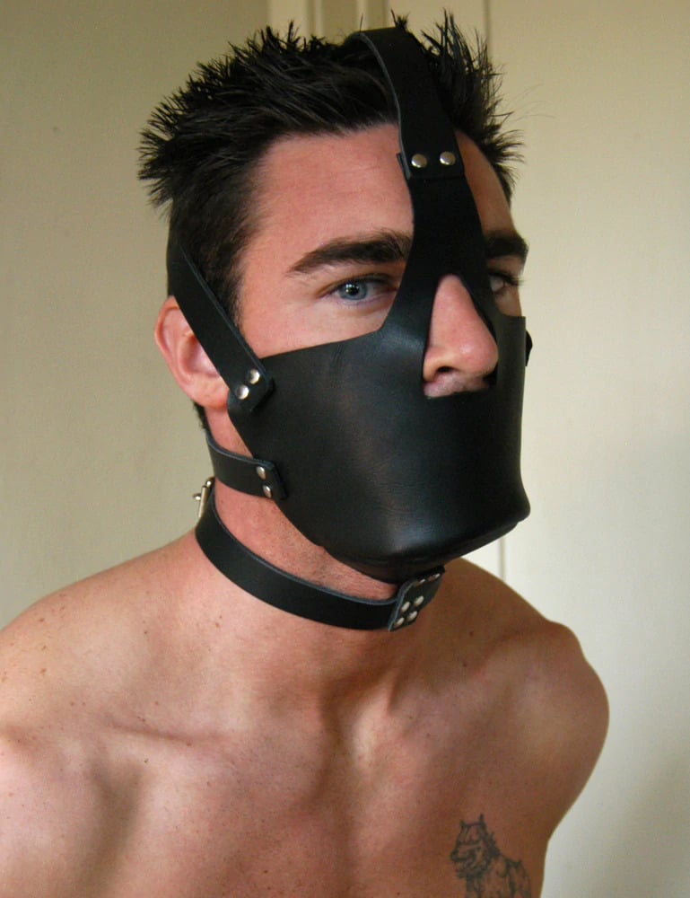 Compare Leather Head Harness with Muzzle