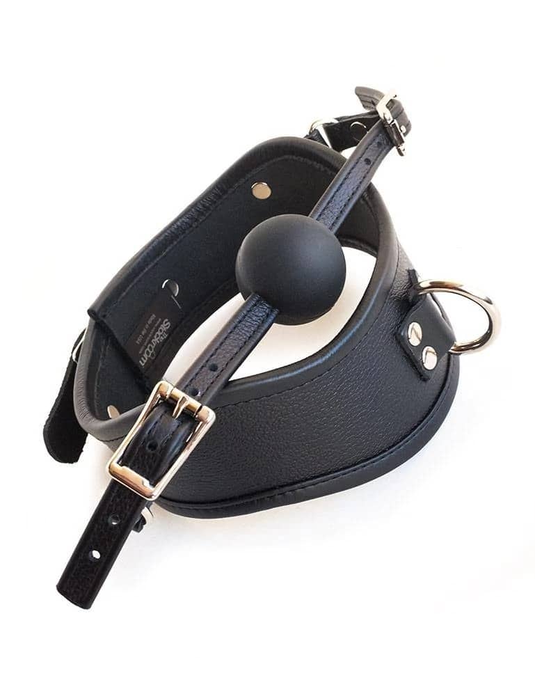 Posture Collar With Silicone Ball Gag Review