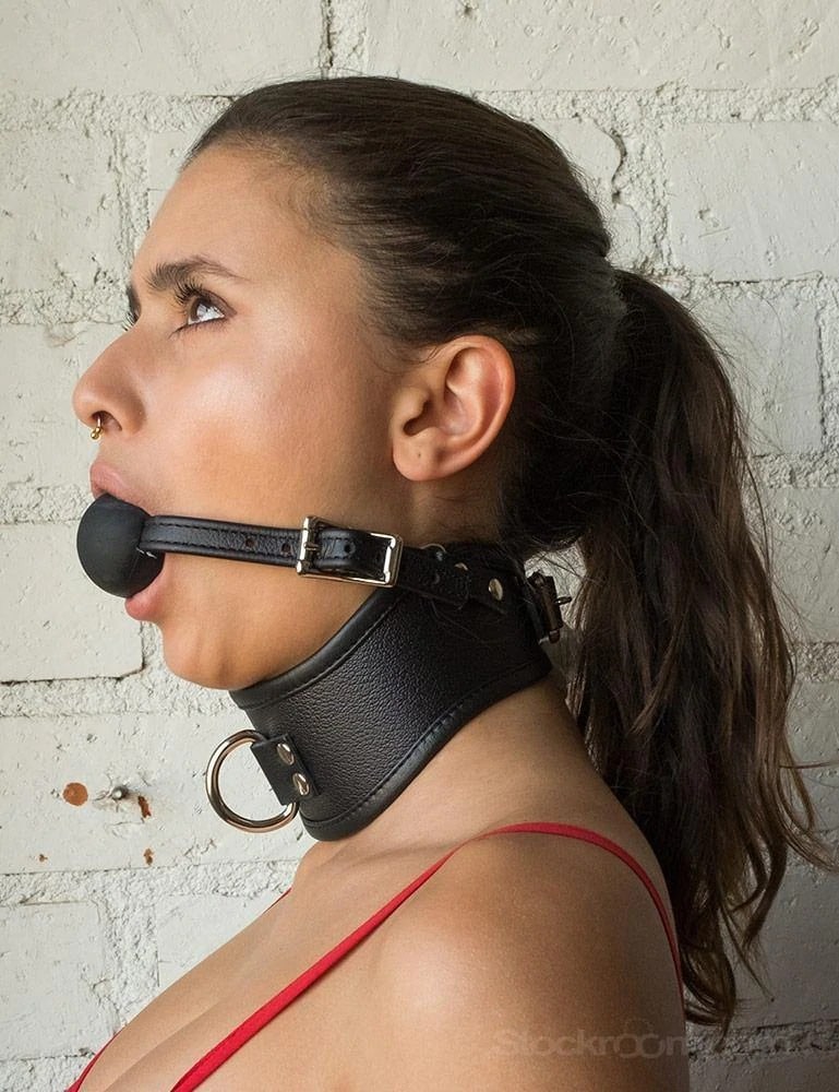 17 Best BDSM Collars For Bondage and Submissive Sex 