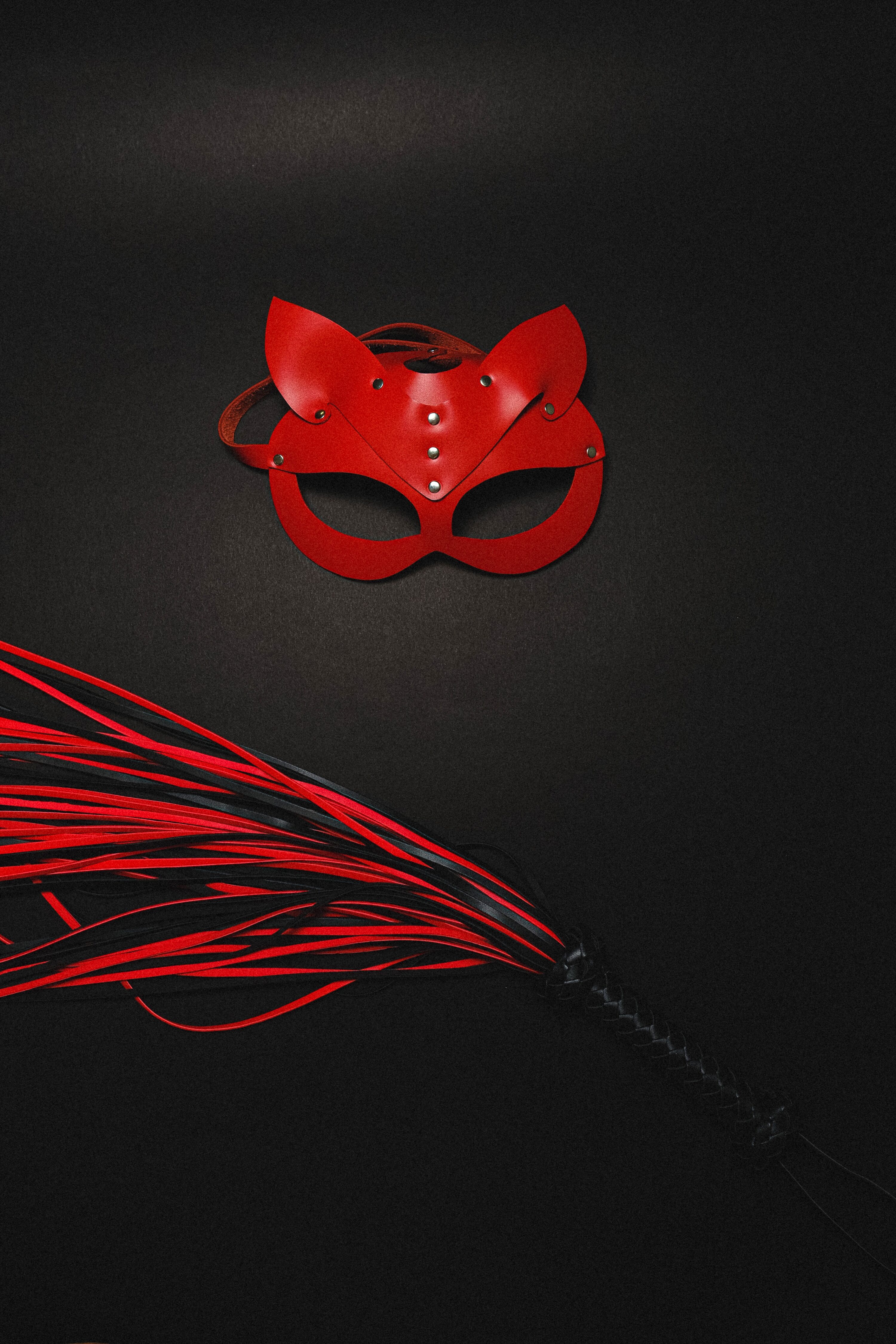 red mask and flogger