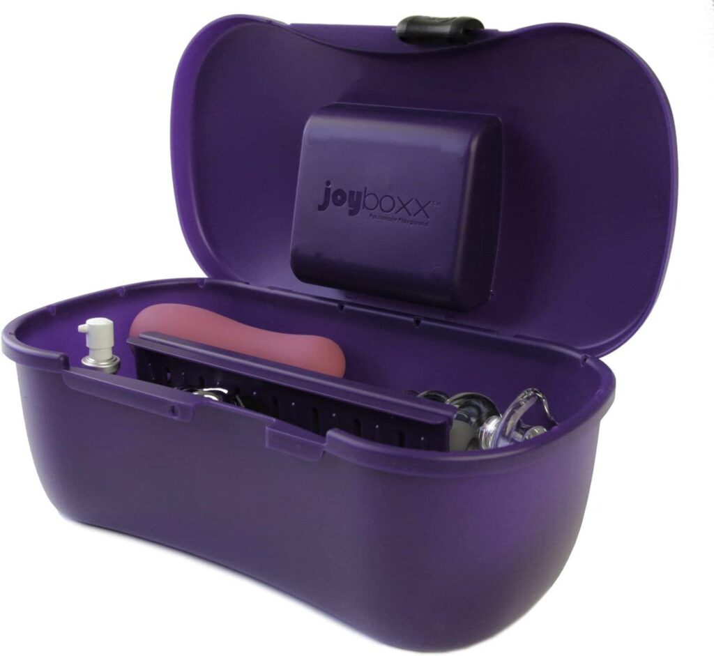 Joyboxx sex toy storage box