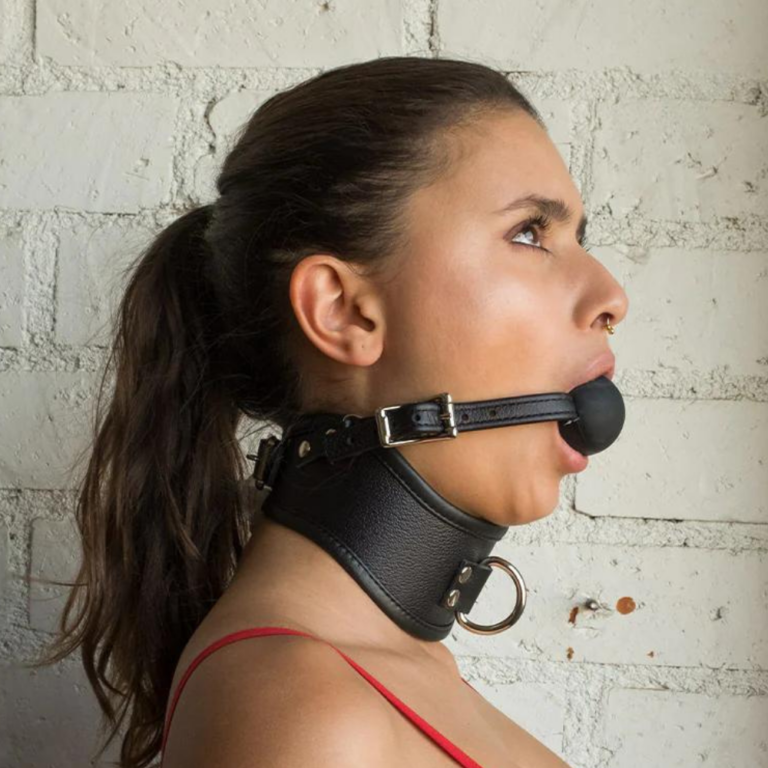 Posture Collar Harness w. Ball Gag Review