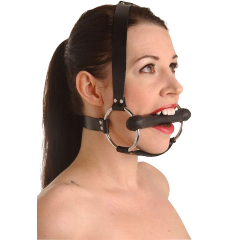 Rubber Bit Trainer Gag Harness Review