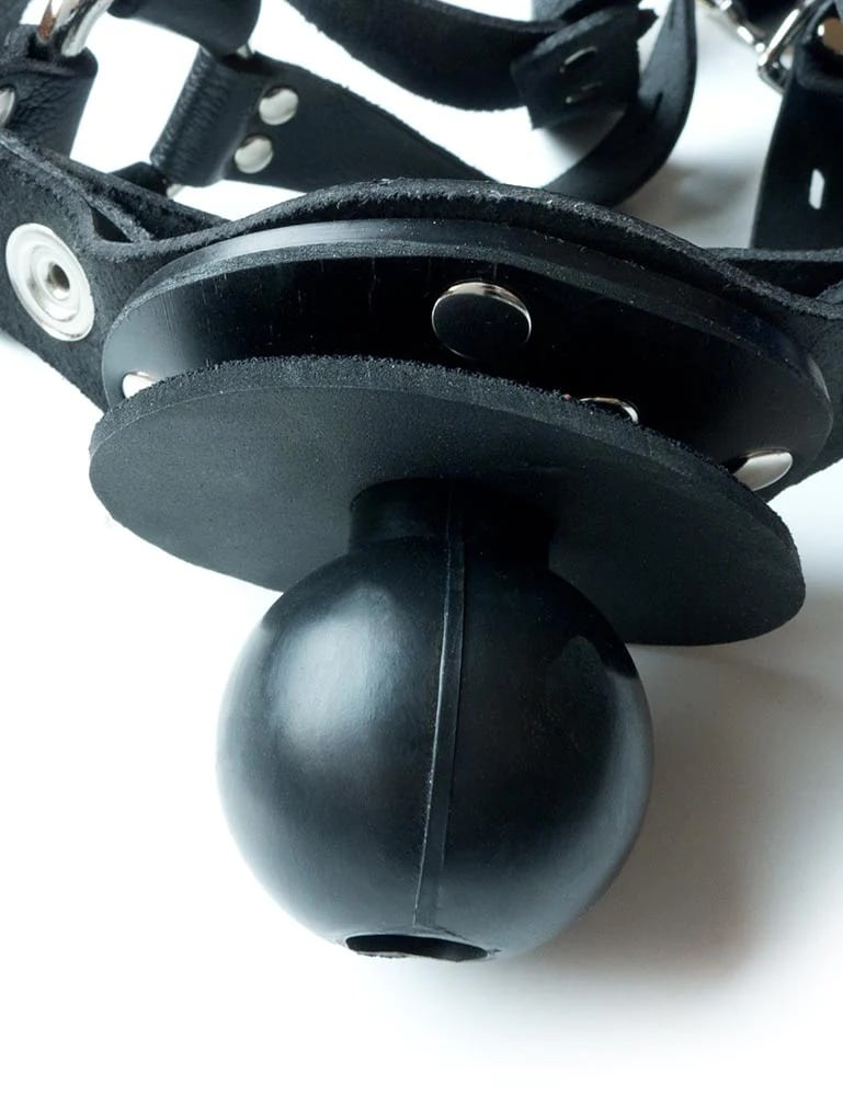 Trainer Ball Gag with Dildo Ring Review