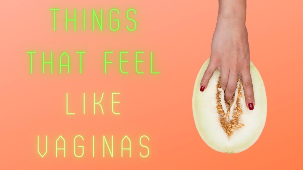 Things That Feel Like Vaginas Feature Image