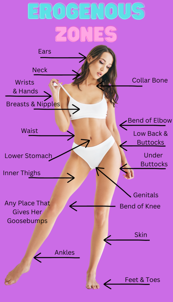 Female erogenous zones, photo of bikini clad woman with erogenous zones labeled