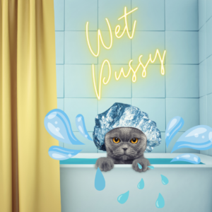 Wet pussy photo of a cat in a bath tub