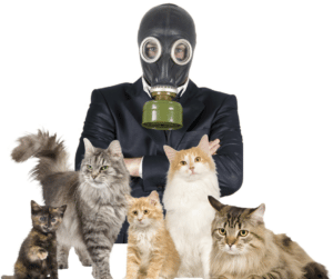 Do pussies smell? Photo of man wearing gas mask surrounded by cats