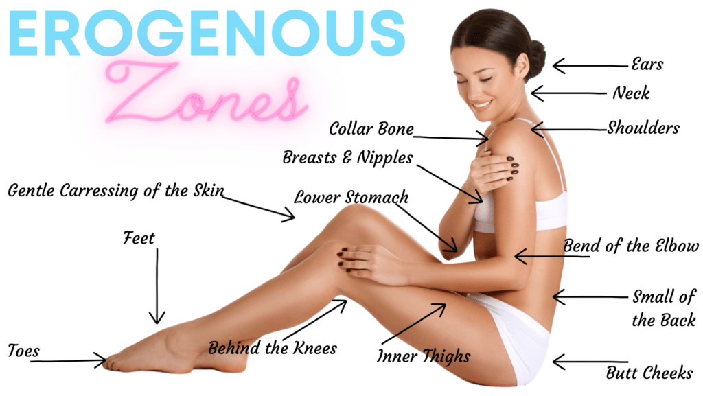 Female erogenous zones illustration 