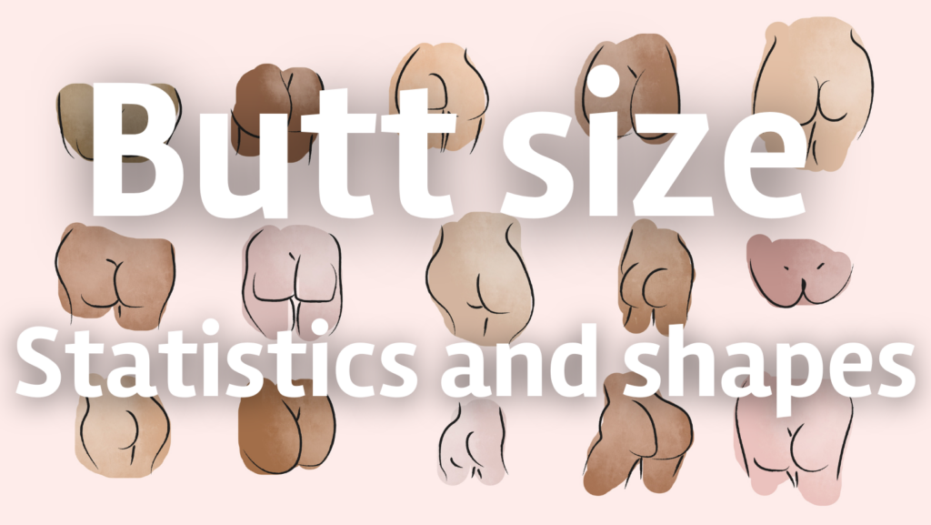 butt size shape statistics