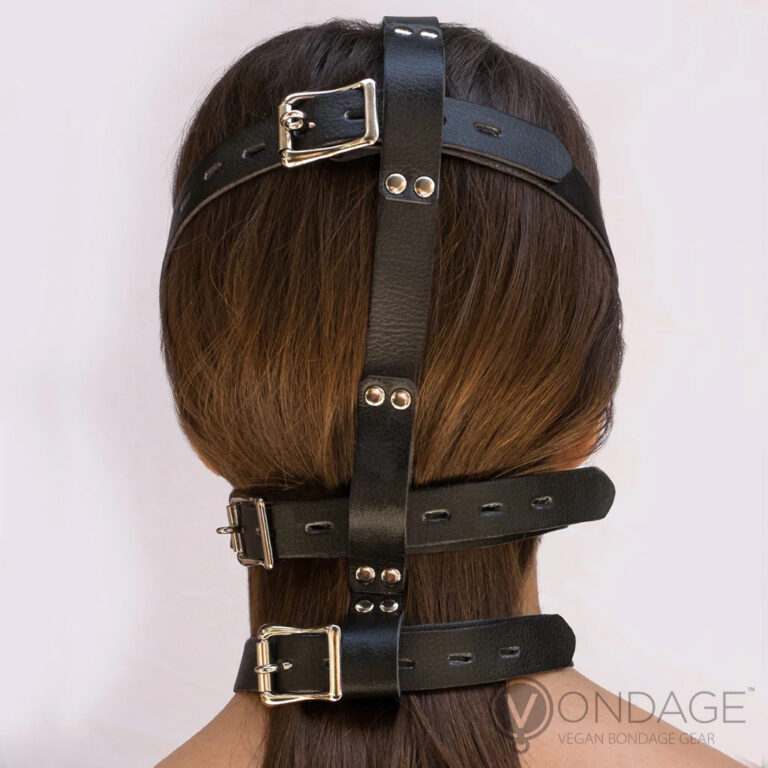 Vondage Head Harness with Muzzle Review
