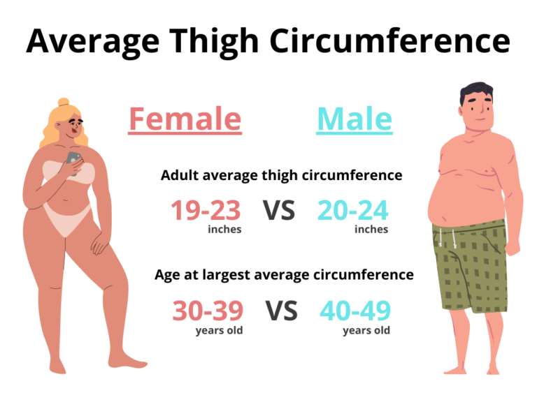 Average Thigh Circumference [Male & Female]