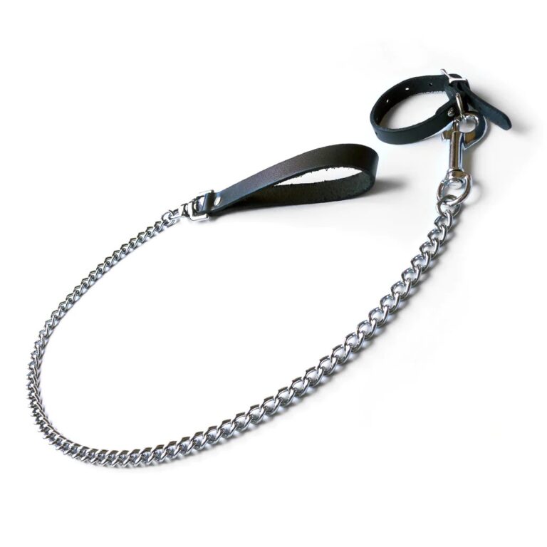 Buckling Cock Ring/Chain Leash Set Review