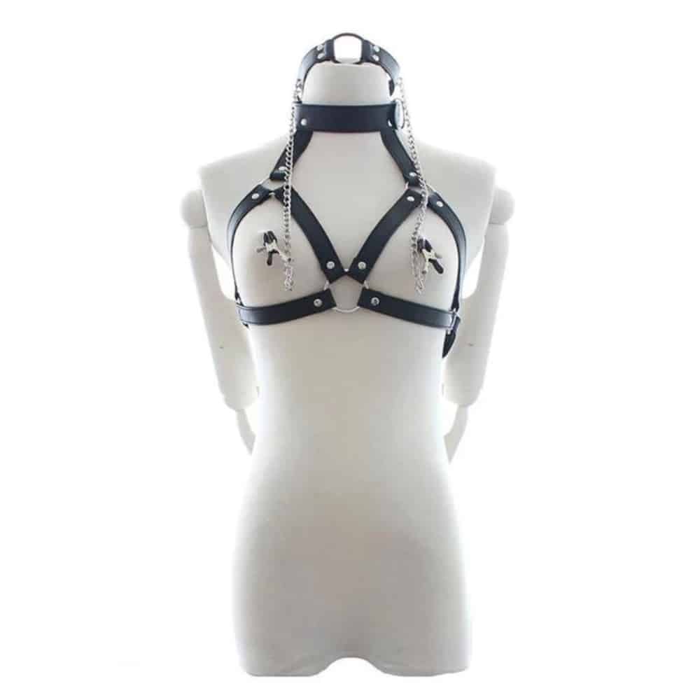 Product Dark Amour Harness with Gag & Nipple Clamps Set