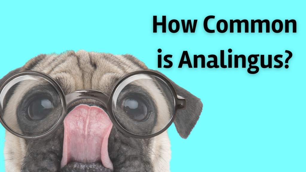 How Common is Analingus Statistics on Prevalence of Anal Rimming