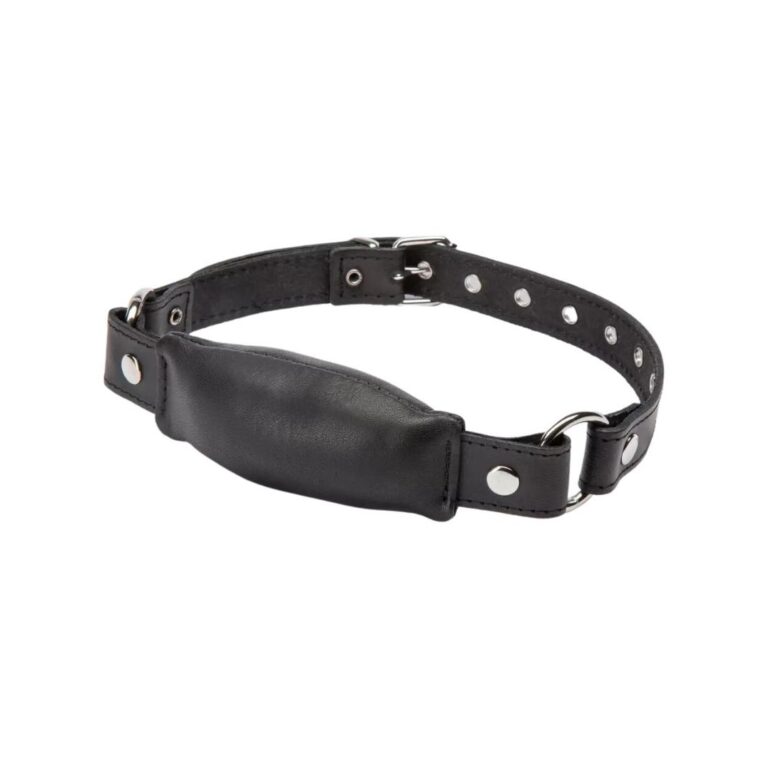 DOMINIX Deluxe Leather Bit Gag Review