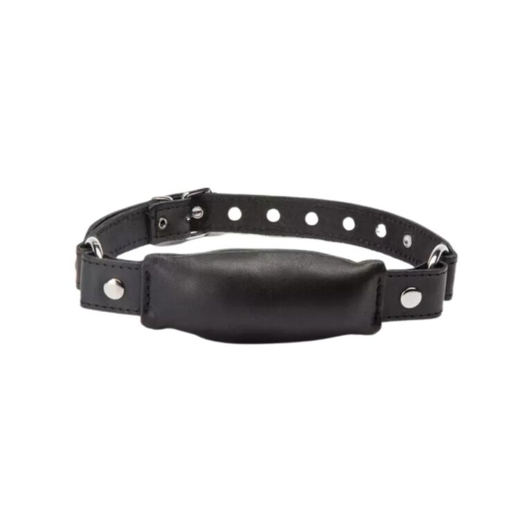 DOMINIX Deluxe Leather Bit Gag Review