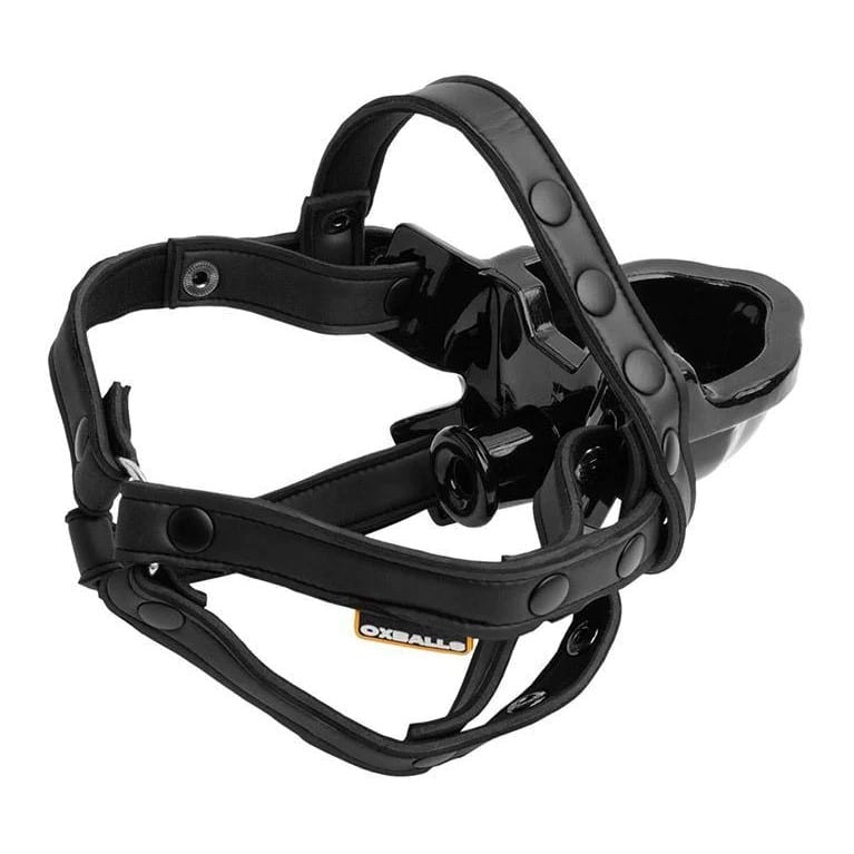 Watersport Mouth Gag with Adjustable Straps Review