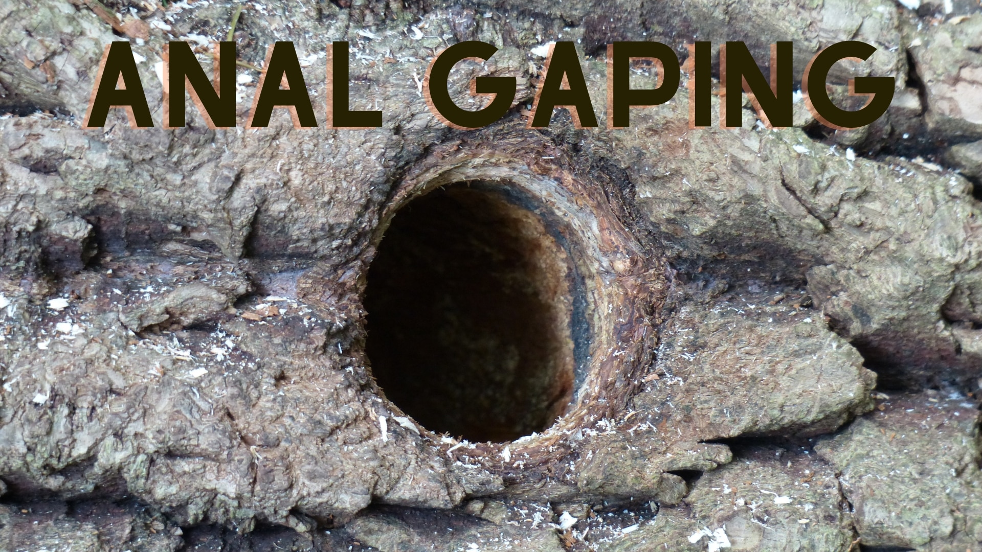 Anal Gape How To Guide Bedbible