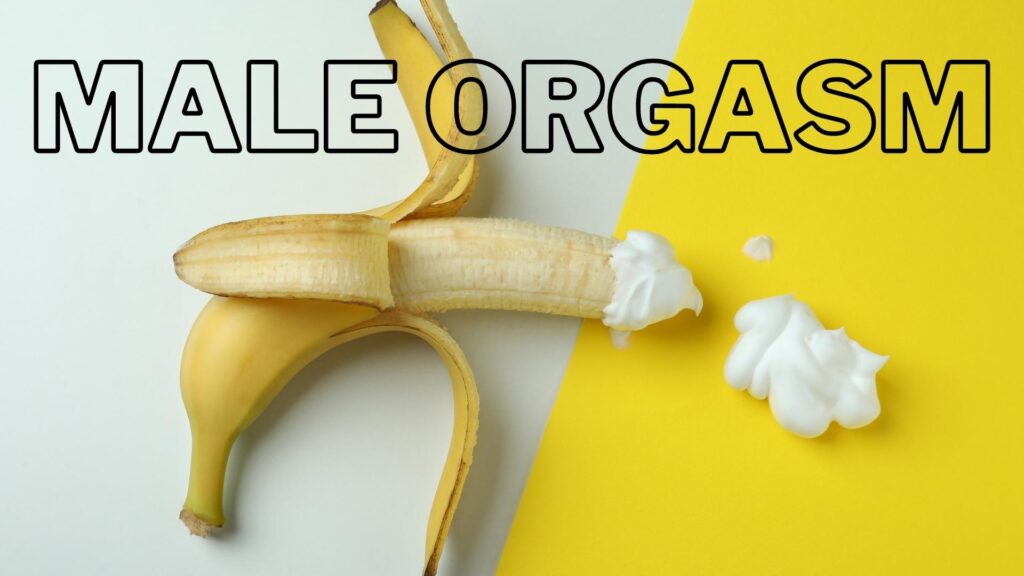 Male Orgasm - Feature Image