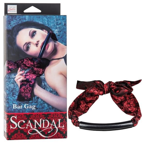 Scandal Bar Gag (One Size) Review