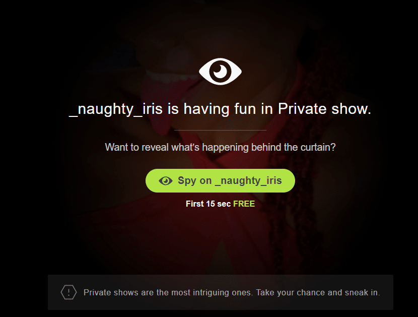 Spying on Stripchat private shows