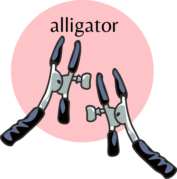 Alligator clamp (crocodile clamp)
