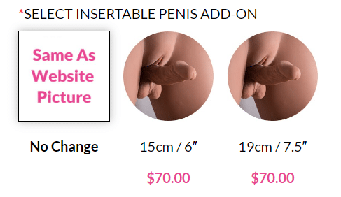 insertable penis option