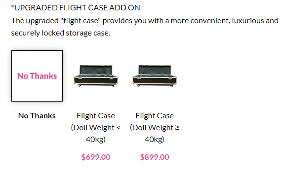 sex doll flight case option
