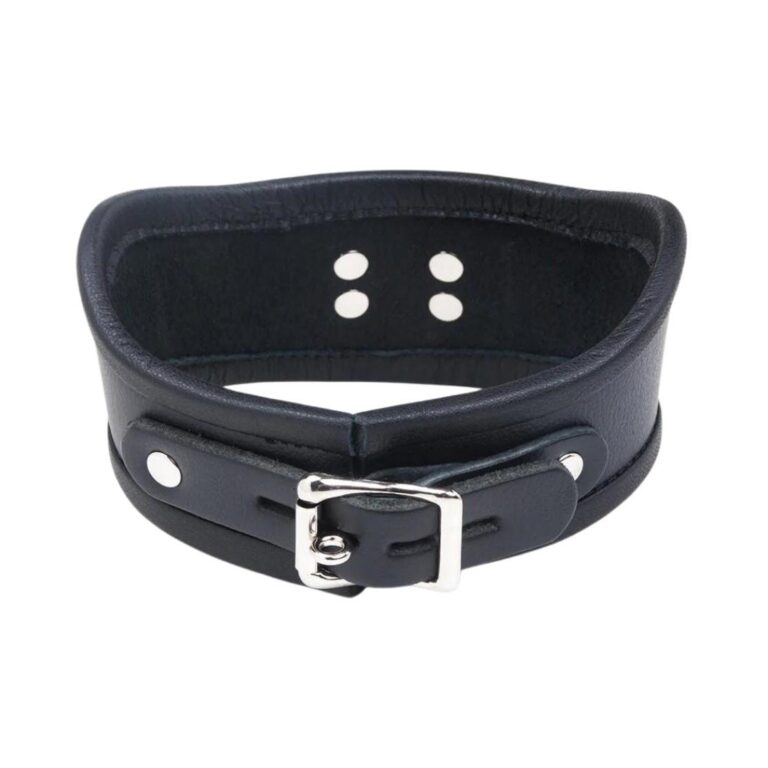 Curved Posture Collar w/ Locking Buckle Review