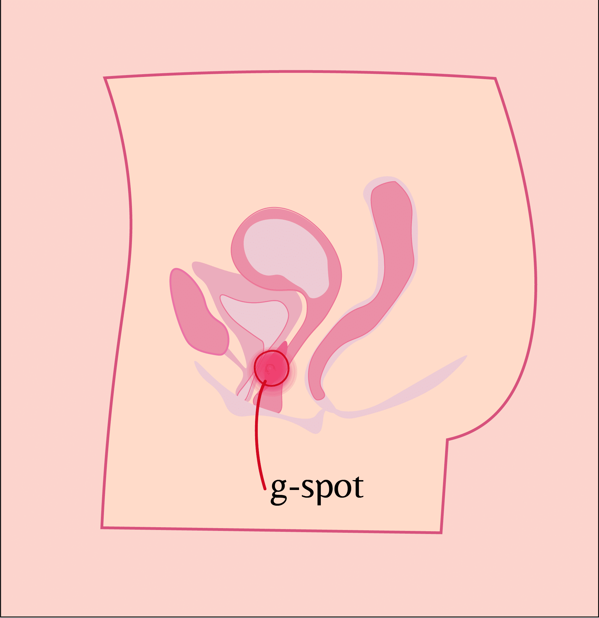 G-spot location