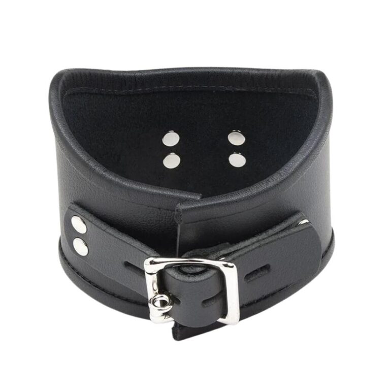 Tall Posture Collar w/ Locking Buckle Review