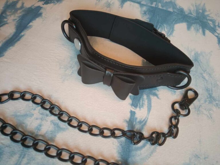 Sportsheets Sincerely Bow Tie BDSM Collar and Leas Review