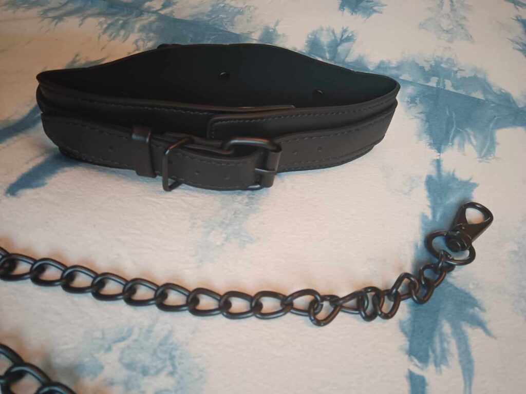 4 Best BDSM Leashes [Actually Tested]