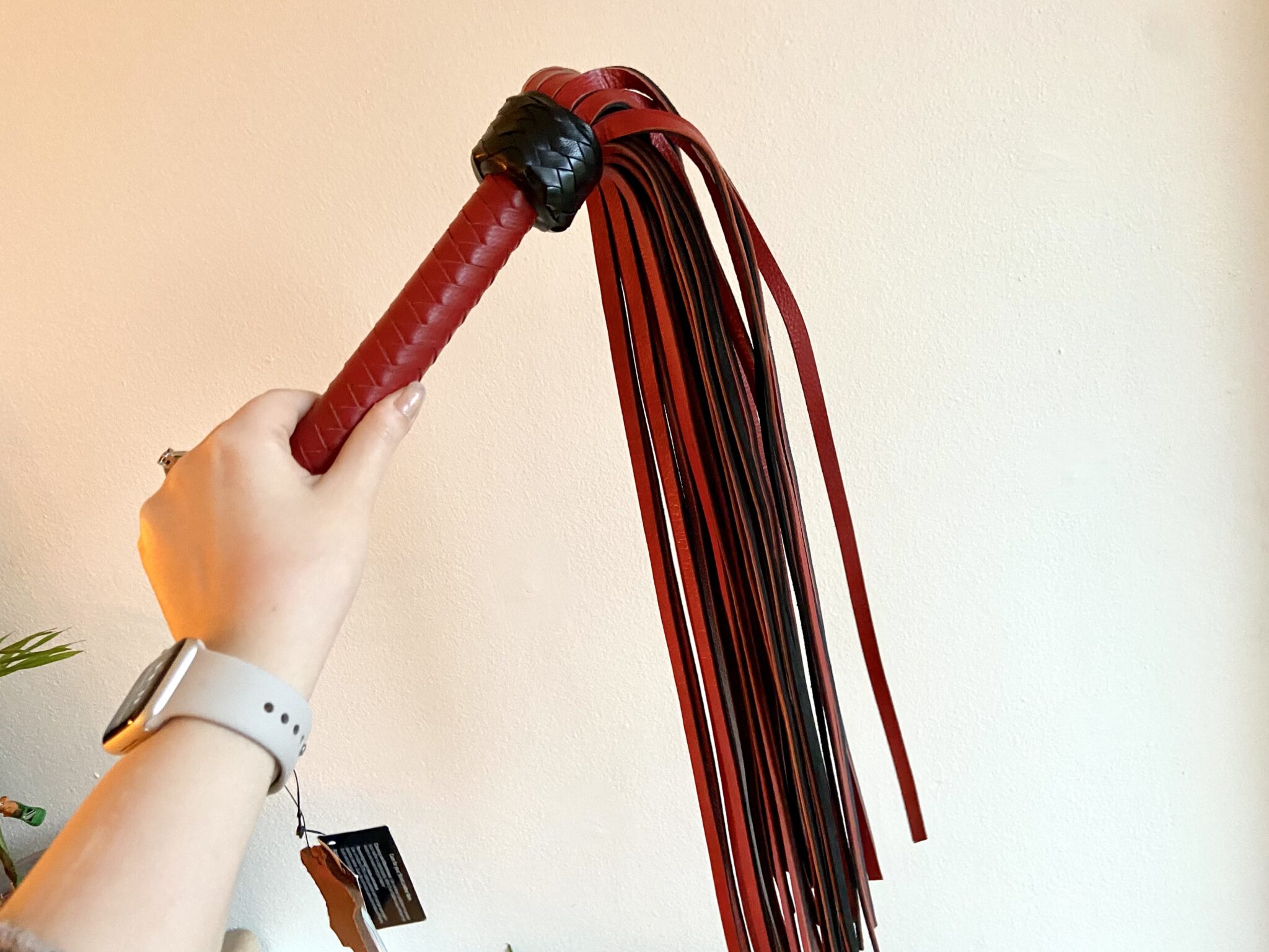 My Personal Experiences with Strict Leather Flogger