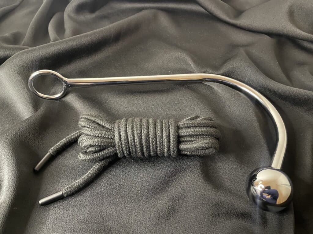 Master Series Anal Hook Review [Tried & Tested]