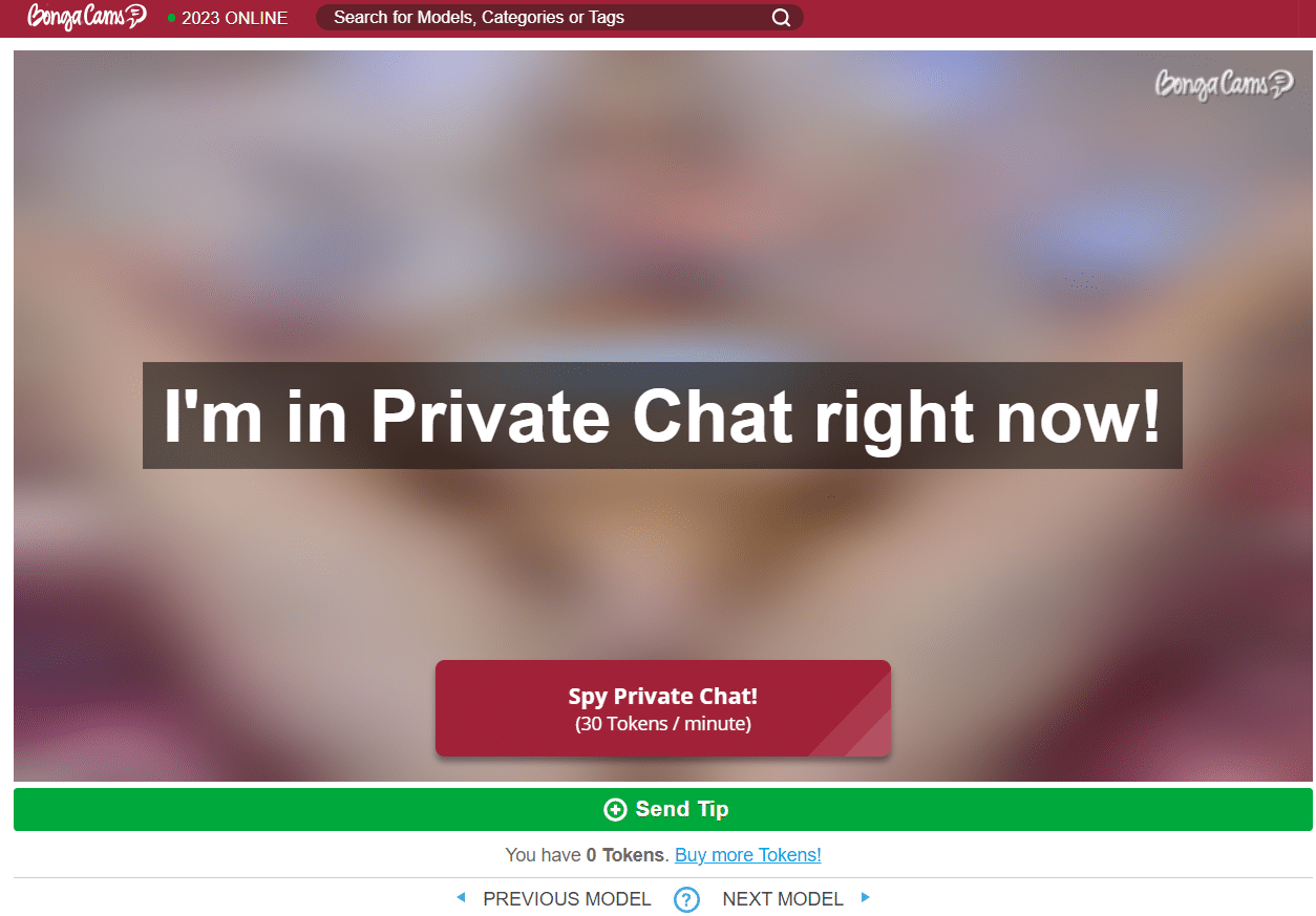 spy on leaked private chats on bongacams.com